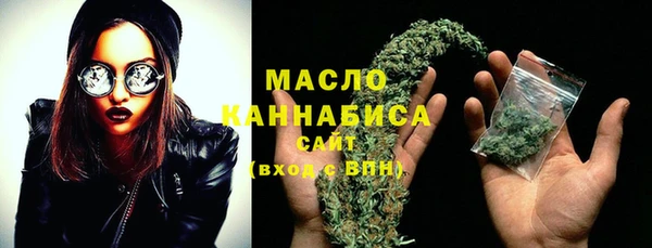 тгк Ельня