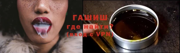тгк Ельня