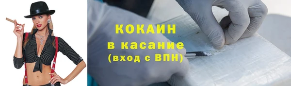 тгк Ельня