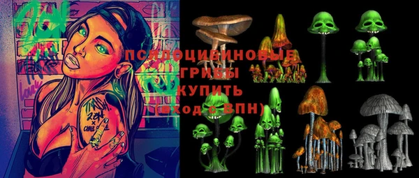 прущая мука Дмитриев