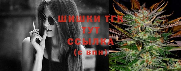 тгк Ельня