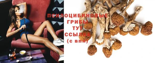 тгк Ельня