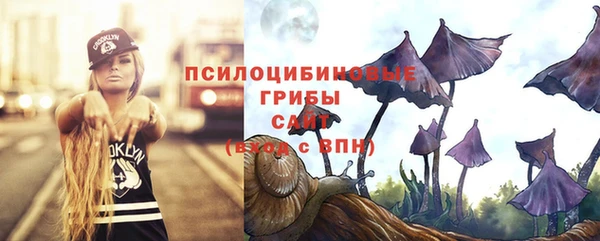 тгк Ельня